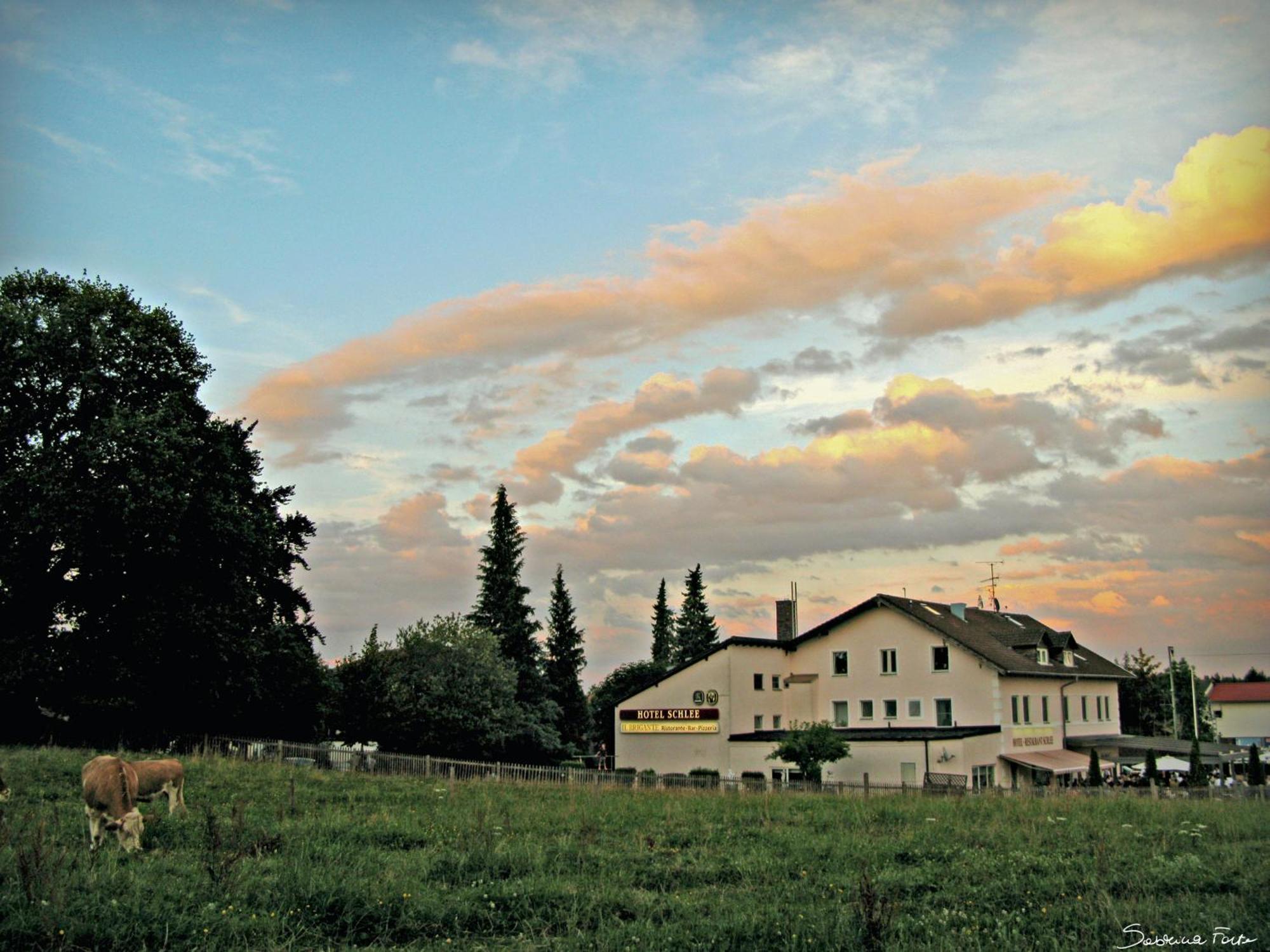 Hotel Schlee Hohenschäftlarn Dış mekan fotoğraf
